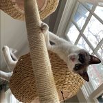 Beth German - @baglady528 - Instagram