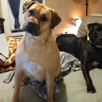 Beth Gibson - Facebook