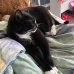 Beth Gill - Facebook