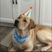 Beth Gill - Facebook