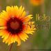 Beth Gill - Facebook