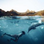 Beth Gilliland - @beth_gilliland_206 - Instagram