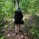 Beth Sanders Gilliland - @bethgilliland - Instagram