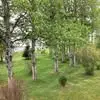 Betty Gillingham - @betty.gillingham - TikTok
