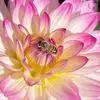 Ann Beth Beckley Gillis - @ann.beth.beckley - TikTok