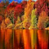 Beth Gillis Bethy - @beth.gillis.bethy - TikTok