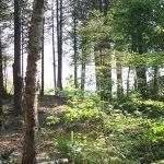Beth Rogers Biser Gillis - @bethgillis2748 - Instagram