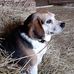 Beth Gilmore - Facebook