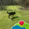 Van Beth Gilpin - @van.beth.gilpin - TikTok