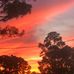 Beth Gipson - Facebook