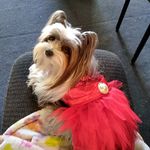 Julie Beth Gipson - @fancyspage - Instagram