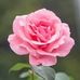 Beth Gladstone - Facebook