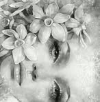 Beth Cofelice Glidden - Facebook