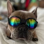 Mary Beth Goad - @marybethgoad - Instagram