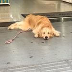 @beth_golden - Instagram