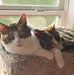 Beth Smith Goodner - Facebook