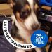 Beth Goodrich - Facebook
