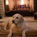 Elizabeth Goodrich - Facebook