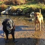 Beth Goodwin - @bethgoodwin9535 - Instagram