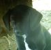Beth Goucher - Facebook