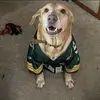 Beth Grady - @beth.grady7 - TikTok