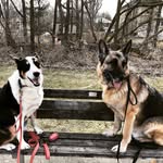Beth O'Grady - @ogradybeth - Instagram