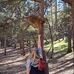 Beth Graham - Facebook