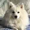 Beth Graham - @beth.graham11 - TikTok