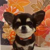 Bethgram0720 - @bethgram0720 - TikTok