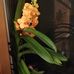 Elisabeth Grams - Facebook