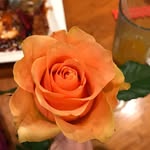 Betsy R. Greenwald - @betsy.greenwald - Instagram