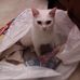 Beth Grimes - Facebook