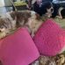 Beth Grimmond - Facebook