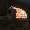 Elizabeth - @elizabethgrimm3 - TikTok