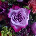 Beth Twardokus Guenther - @sbguenther - Instagram