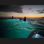 Beth M. Gwinn - @bethkennedy56 - Instagram