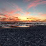 Beth Burrell Haas - @numbershaveit - Instagram