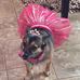 Beth Haas - Facebook