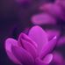 Beth Hamlet - Facebook