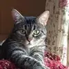 Beth Harkness591 - @bethharkness5 - TikTok