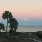 Beth Harrell - @bethharrell - Instagram