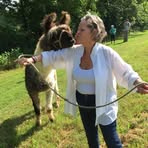Beth Harrell - Facebook
