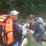 Beth Purcell-Harrell - @bethannknoxville - Instagram