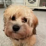 Beth - @bethhawks12023 - Instagram