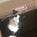 Bethanie Hawks Suter - Facebook