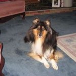 Beth-Ellen Morrill Healey - @morrillhealey - Instagram