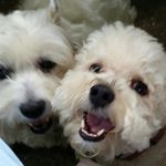 Beth HECKMAN - @heckman.beth - Instagram