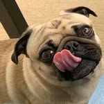 Beth Heilman - @bethheil - Instagram