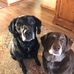 Beth Held - Facebook