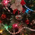 Beth Ann Hartshorne Helsel - Facebook